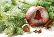 Weihnachtsapfel mit Glocke