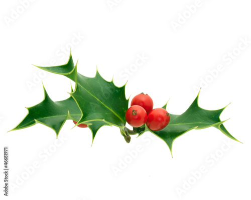 Photo: Holly Holly