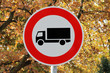 Lastkraftwagen