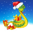 Snake. Symbol of new 2013 year.  With gift and in christmas cap