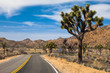 Beautiful drive through the Mojave Desert