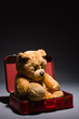 Photo: Teddy and suitcase Teddy and suitcase