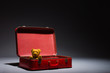 Photo: Little teddy and suitcase Little teddy and suitcase