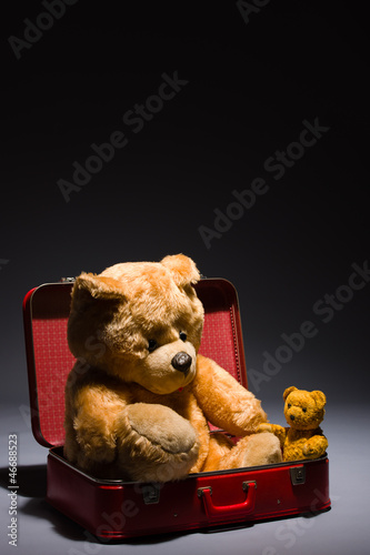 Photo: Teddy friends and suitcase Teddy friends and suitcase