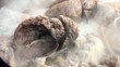 Video: Cooking Cooking