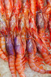 Foto: shrimps on ice shrimps on ice