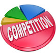 Competition Pie Chart Market Share Competitors Pieces