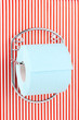 Roll of toilet paper on  holder fixed to pinstriped wall