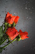 Roses.