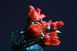 Roses.