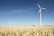 windmill and power line