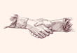 Vektor: Handshake - hand drawn vector illustration isolated Handshake - hand drawn vector illustration isolated