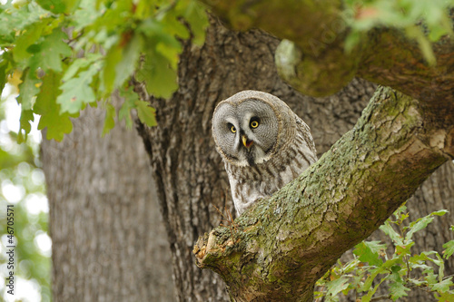 Photo: Bartkauz Bartkauz