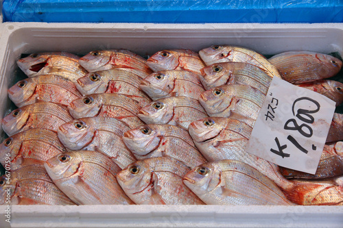 Photo: Fish Market in Tokyo Fish Market in Tokyo