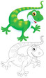 Illustration: Lizard Lizard