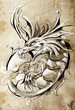Sketch of tattoo art, medieval dragon, vintage style