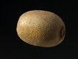 Kiwi, Actinidia, deliciosa
