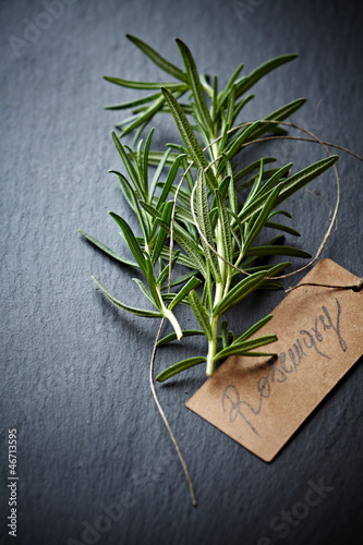 Photo: Fresh rosemary sprigs on chalkboard Fresh rosemary sprigs on chalkboard