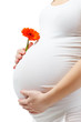 Photo: Pregnant woman touching her belly Pregnant woman touching her belly