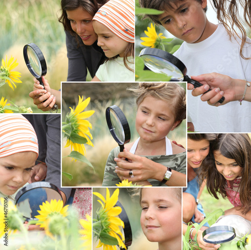 Photo: Montage of kids examining sunflowers Montage of kids examining sunflowers