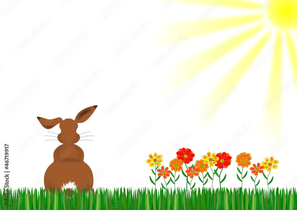 Hase auf Blumenwiese