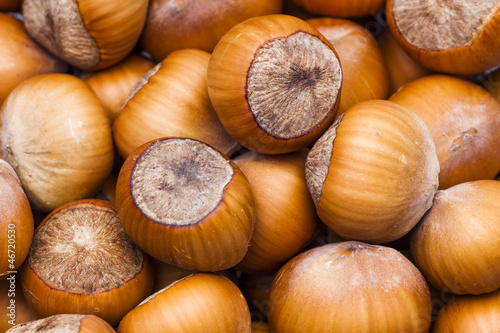 Photo: hazelnuts hazelnuts