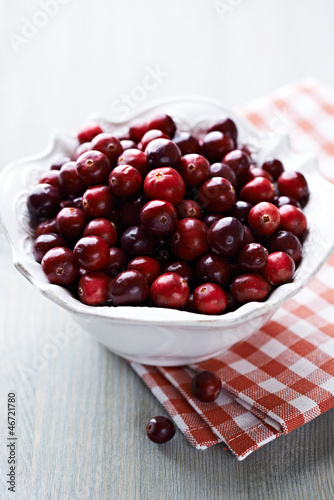 Photo: Bowl of Fresh Cranberries Bowl of Fresh Cranberries
