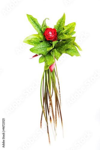 Photo: red rose red rose