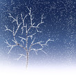 Vektor: winter tree winter tree