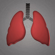 Lungs, stamped into polished  metal