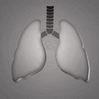 Lungs, stamped into polished  metal