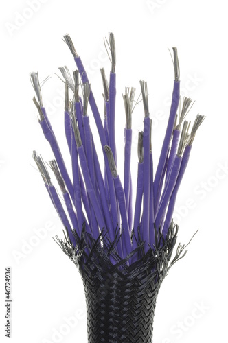 Photo: Flexible protective tube with purple electrical cables Flexible protective tube with purple electrical cables
