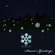 Snowing on the lake at night