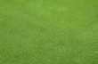Perfekter Rasen, Putting green, Fußballfeld