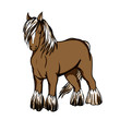 Vector: Shire, the draft horse Shire, the draft horse
