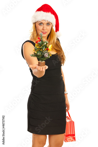 Photo: Smiling Xmas woman give tree Smiling Xmas woman give tree