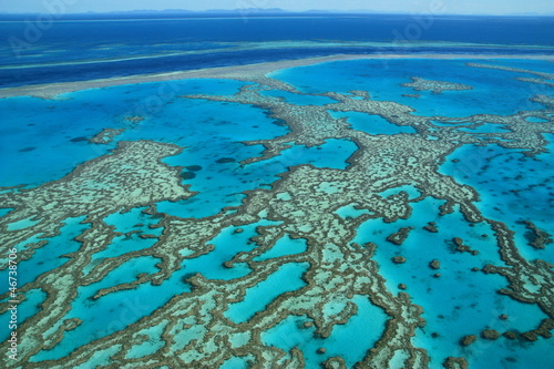 Photo: Grande Barriere de corail, Australie Grande Barriere de corail, Australie