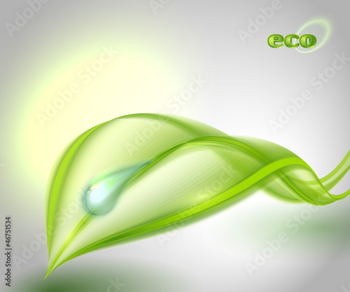 Vector: Abstract background with green leaf Abstract background with green leaf