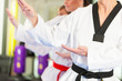 Martial Arts sport training in gym