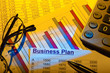 Businessplan