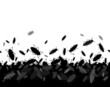 insekten1311a