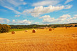 Scenic landscape with haybales