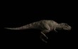 Tyrannosaure, course vue de coté