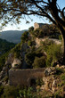 Mallorca- castell Alaro Mallorca- castell Alaro