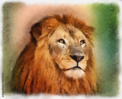 Illustration: Royal King Lion Portrait Water Color Painting Royal King Lion Portrait Water Color Painting