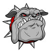 Bulldog head