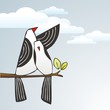 Couple black and white bird protect Couple