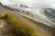 detail of grass blades groving in glacial valley in French Alps