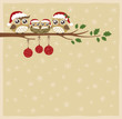 Vector: owl family christmas celebration owl family christmas celebration