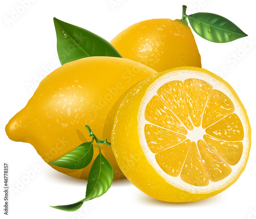 Vector: Fresh lemons with leaves Fresh lemons with leaves